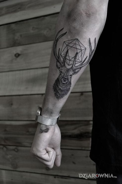 Tatuaż deer - zwierzęta