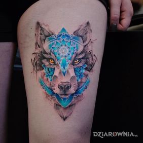 Niesamowicie śliczny wilczek