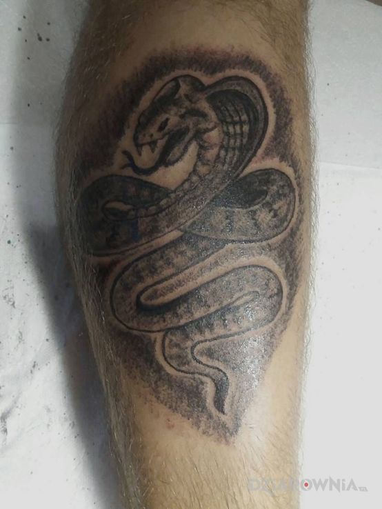 Tatuaż totalne badziewie - zwierzęta