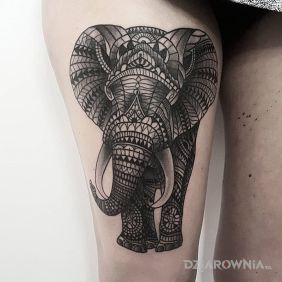 Słoń z ornamentów