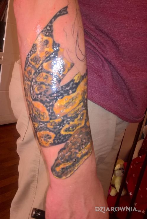 Tatuaż wąż w różach - zwierzęta