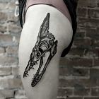 Pterosaurs skull dotwork