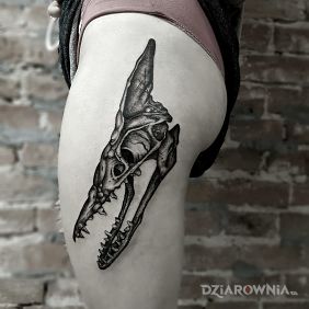 Pterosaurs skull dotwork