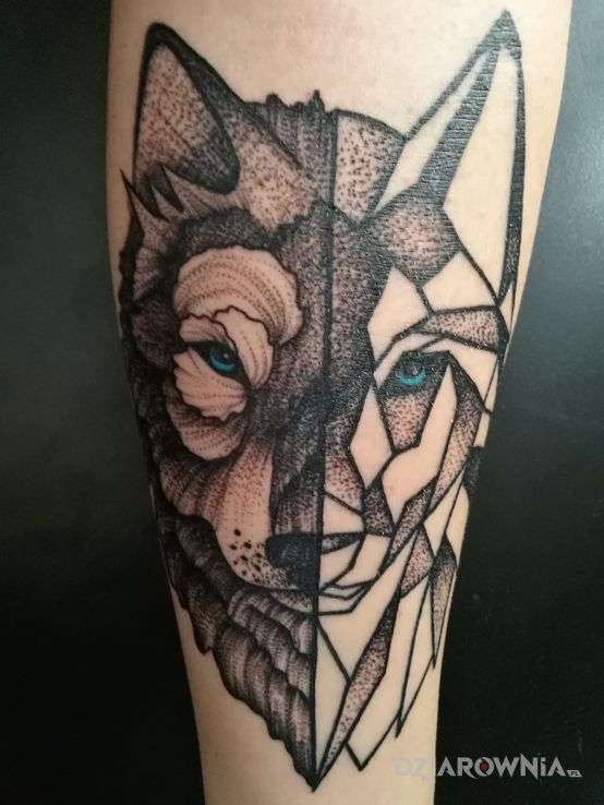 Tatuaż geometric wolf - dotwork