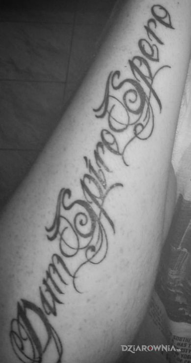 Tatuaż dum spiro spero - napisy