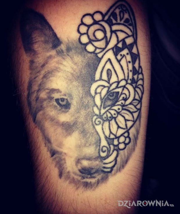 Tatuaż wilk - zwierzęta