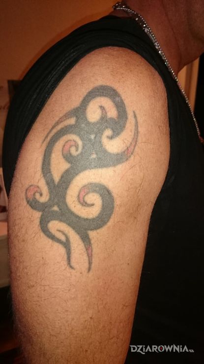 Tatuaż tak wyglądało przed - tribale