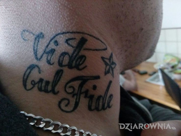 Tatuaż vide cul fide - napisy