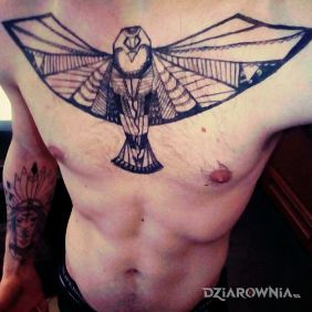 Początki :) teraz pytanie co następne :) 