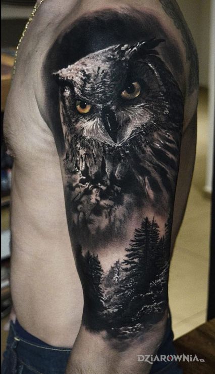 Tatuaż realistyczna sowa - 3D