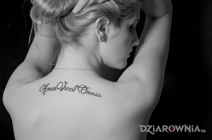 Tatuaż amor vincit omnia - napisy