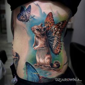 Skrzydlata wiewiórka