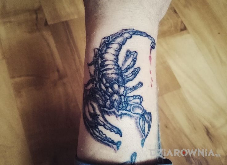 Tatuaż skorpion - znaki zodiaku