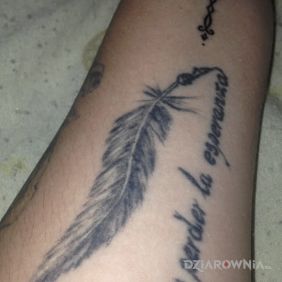 Piorko z cytatem po hiszpansku