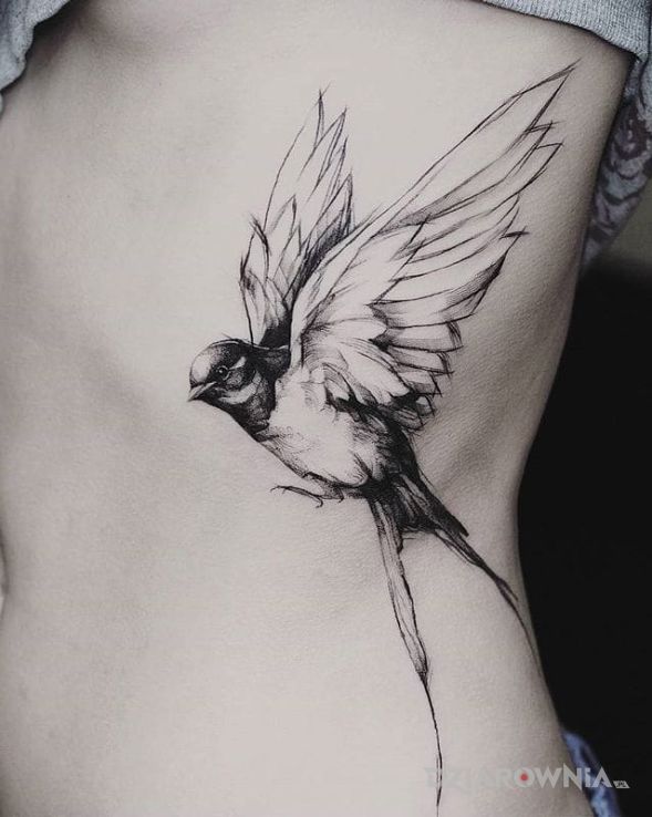 Tatuaż ptak w locie - zwierzęta