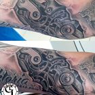 Kola zębate,Biomechanika