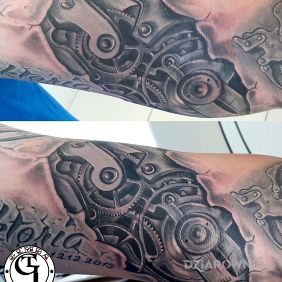 Kola zębate,Biomechanika