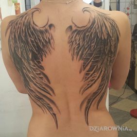 Wings 
