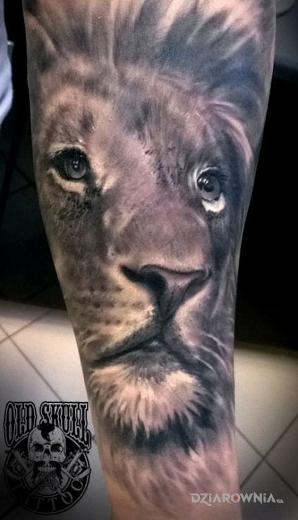 Tatuaż lew - realistyczne