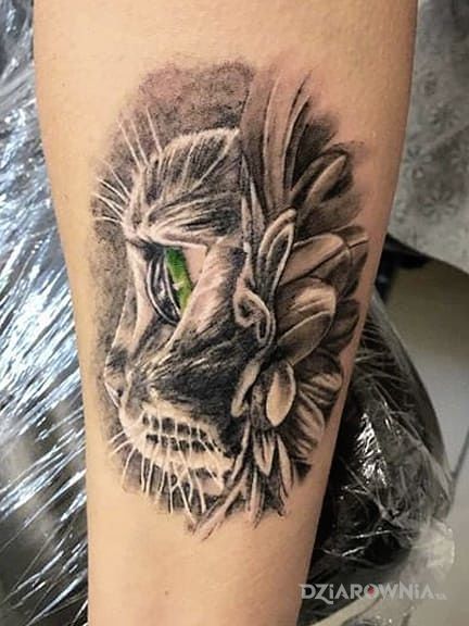 Tatuaż kotek - zwierzęta