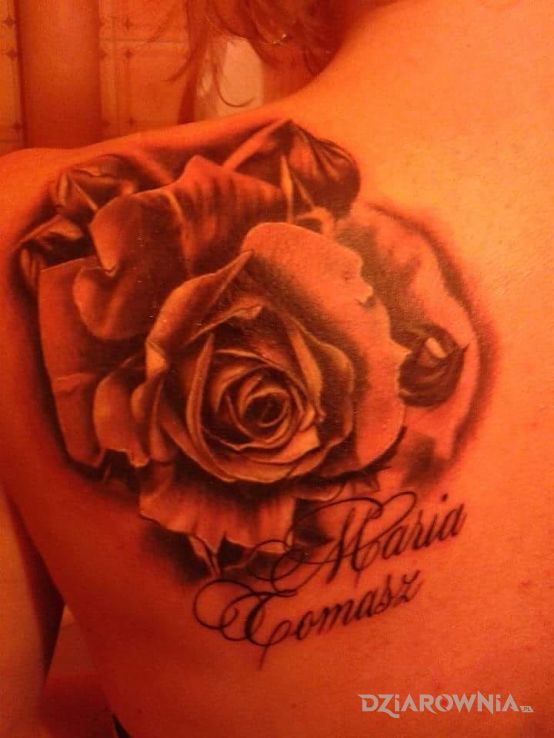 Tatuaż róża - napisy