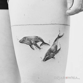 Dwa wieloryby