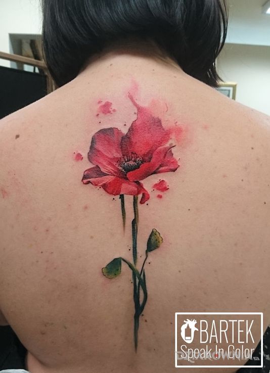 Tatuaż mak - realistyczne