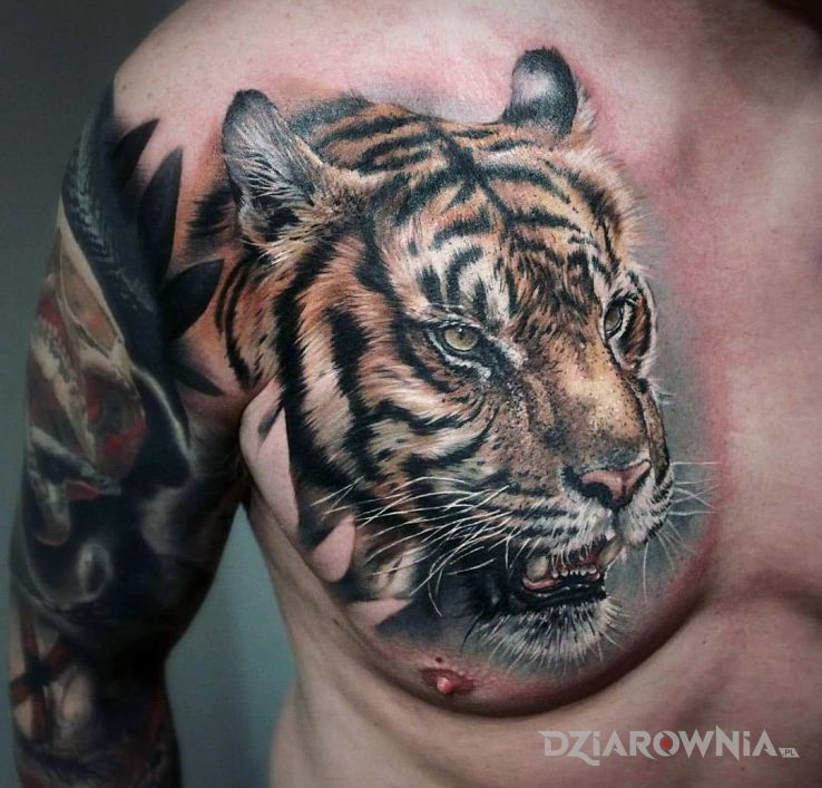 Tatuaż tiger - realistyczne