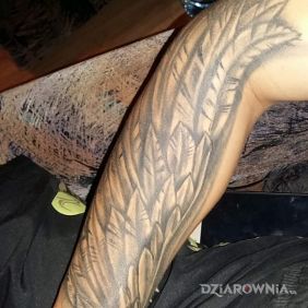 Skrzydło przedramie