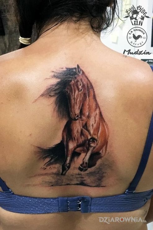 Tatuaż koń - zwierzęta