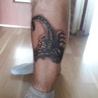 Skorpion 