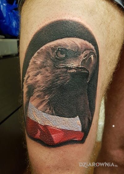 Tatuaż orzeł biały - patriotyczne