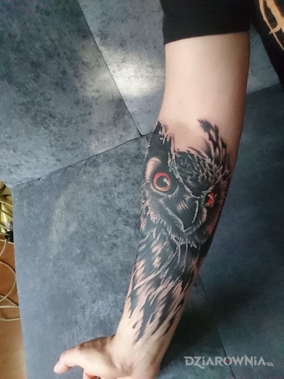 Tatuaż sowa - zwierzęta