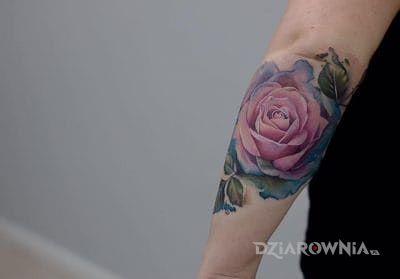 Tatuaż zarąbista róża - kwiaty