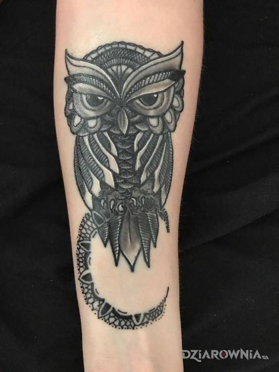 Tatuaż sowa - zwierzęta