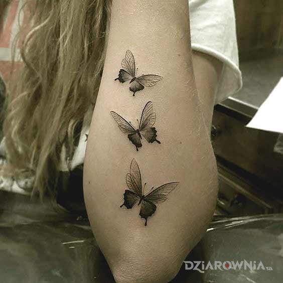 Tatuaż trzy motyle - motyle
