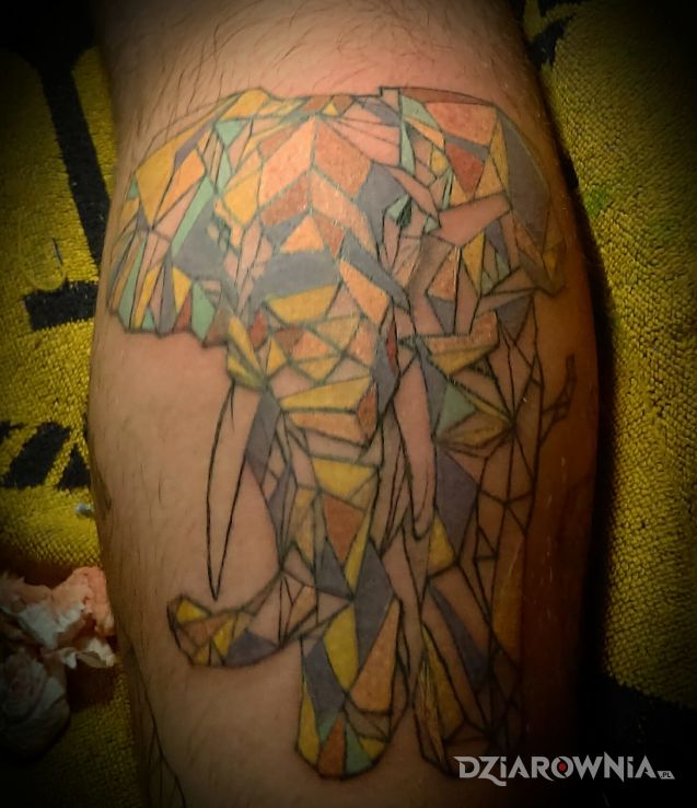 Tatuaż słoń - zwierzęta