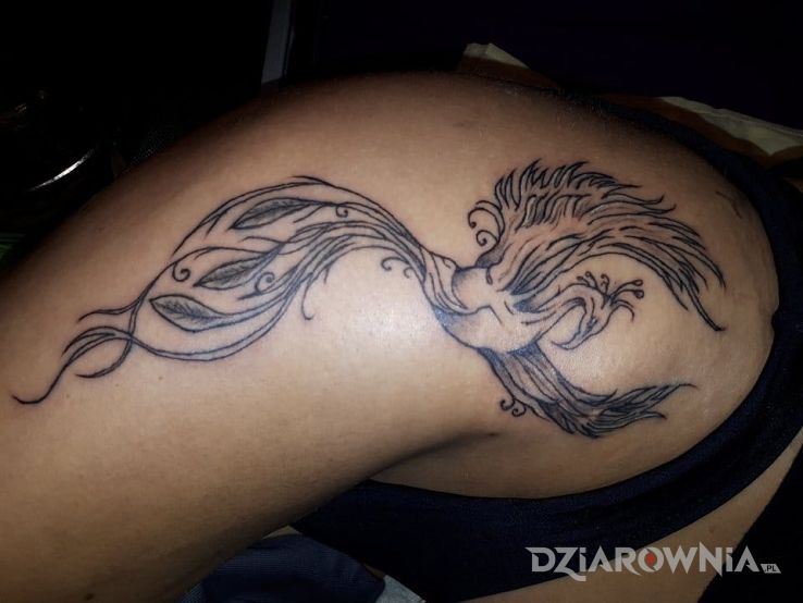 Tatuaż feniks - zwierzęta