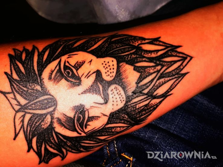 Tatuaż lew lion - zwierzęta