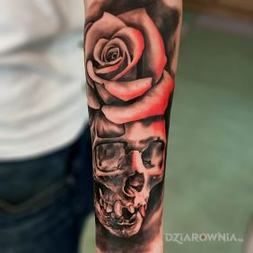 Czaszka i róża