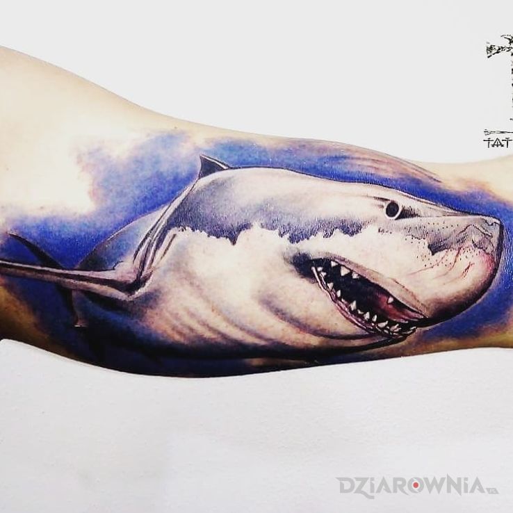 Tatuaż żarłacz biały - kolorowe