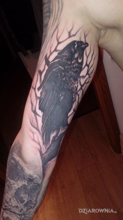 Tatuaż kruk - zwierzęta