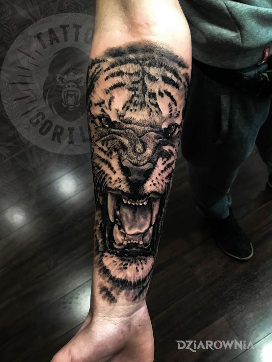 Tatuaż tygrys - zwierzęta