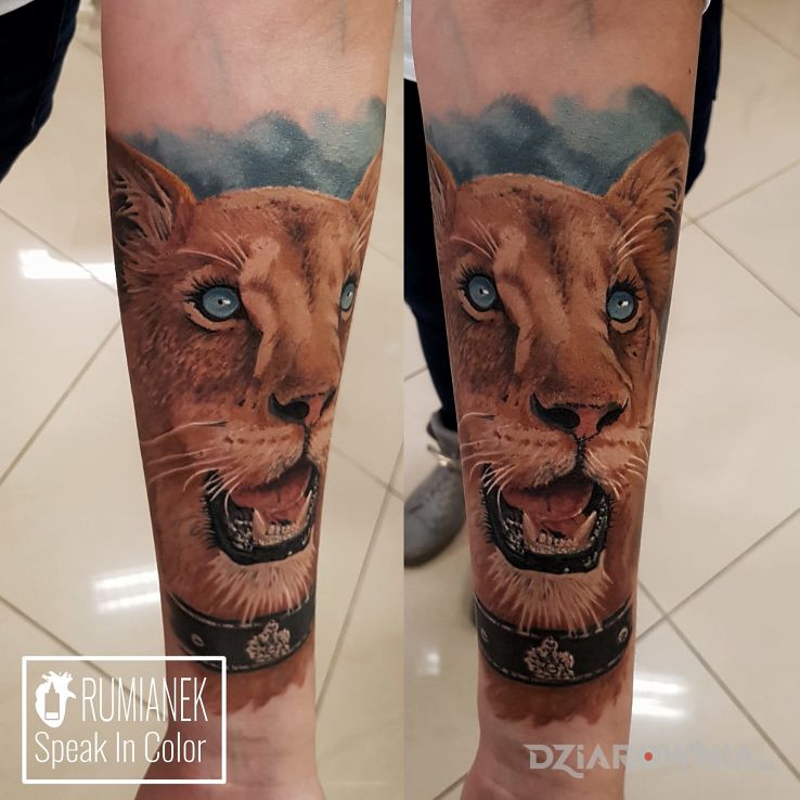 Tatuaż lwica real - zwierzęta