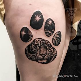 Odcisk łapy tygrysa