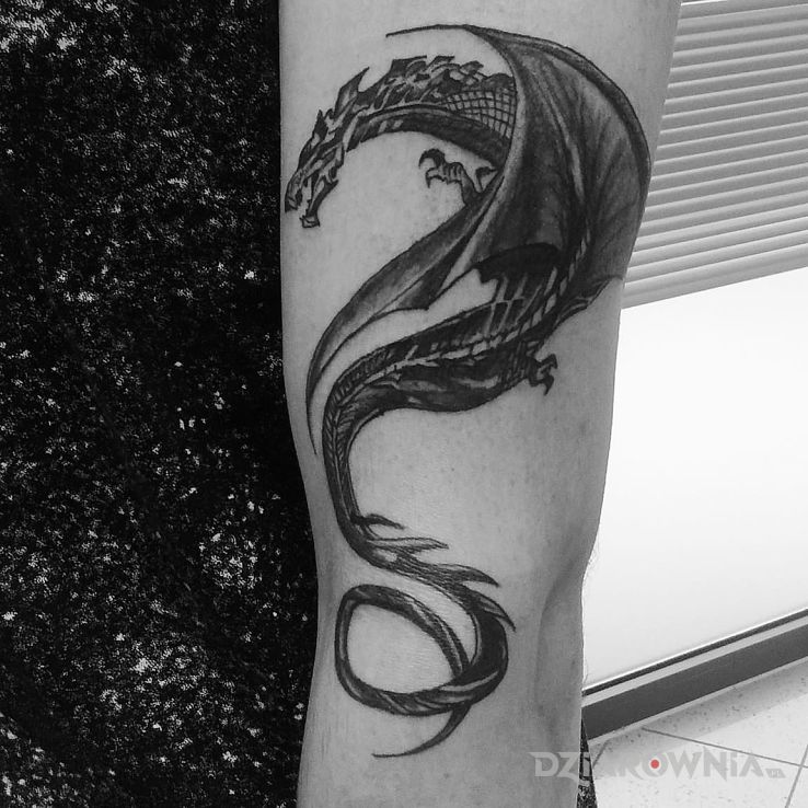 Tatuaż dragon - smoki