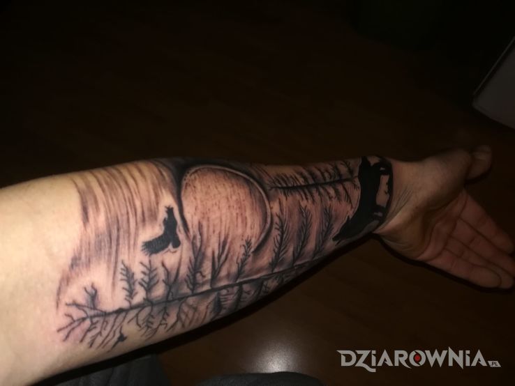 Tatuaż jedziemy do góry - zwierzęta