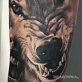 #wampire #wolf #tatoo