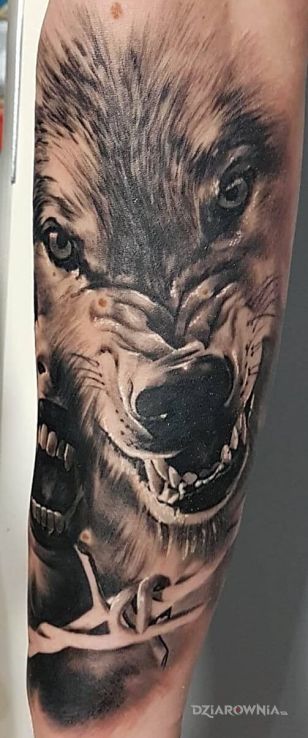 Tatuaż wampire wolf tatoo - 3D