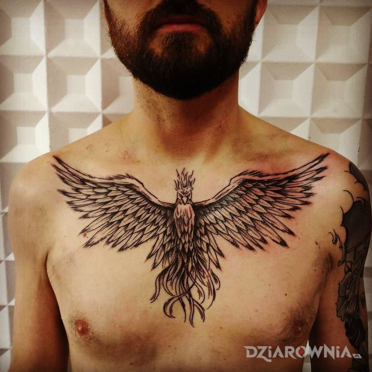 Tatuaż feniks - zwierzęta